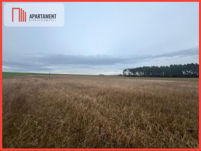 Działki z warunkami zabudowy 1075m2 - powiat nakielski  - Kujawsko-Pomorskie