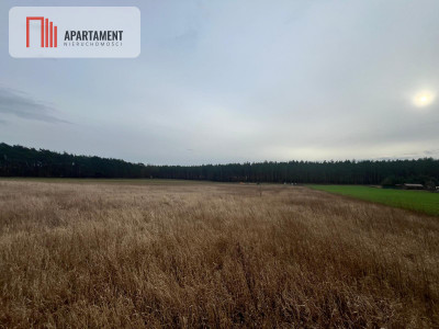 Działki z warunkami zabudowy 1075m2 - powiat nakielski  -
Kujawsko-Pomorskie Zdjęcie nr 3