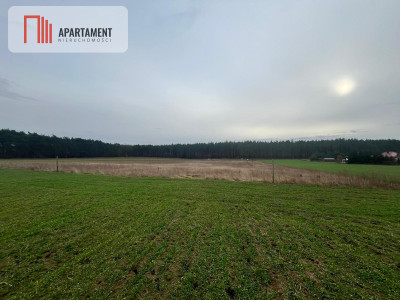 Działki z warunkami zabudowy 1075m2 - powiat nakielski  -
Kujawsko-Pomorskie Zdjęcie nr 5