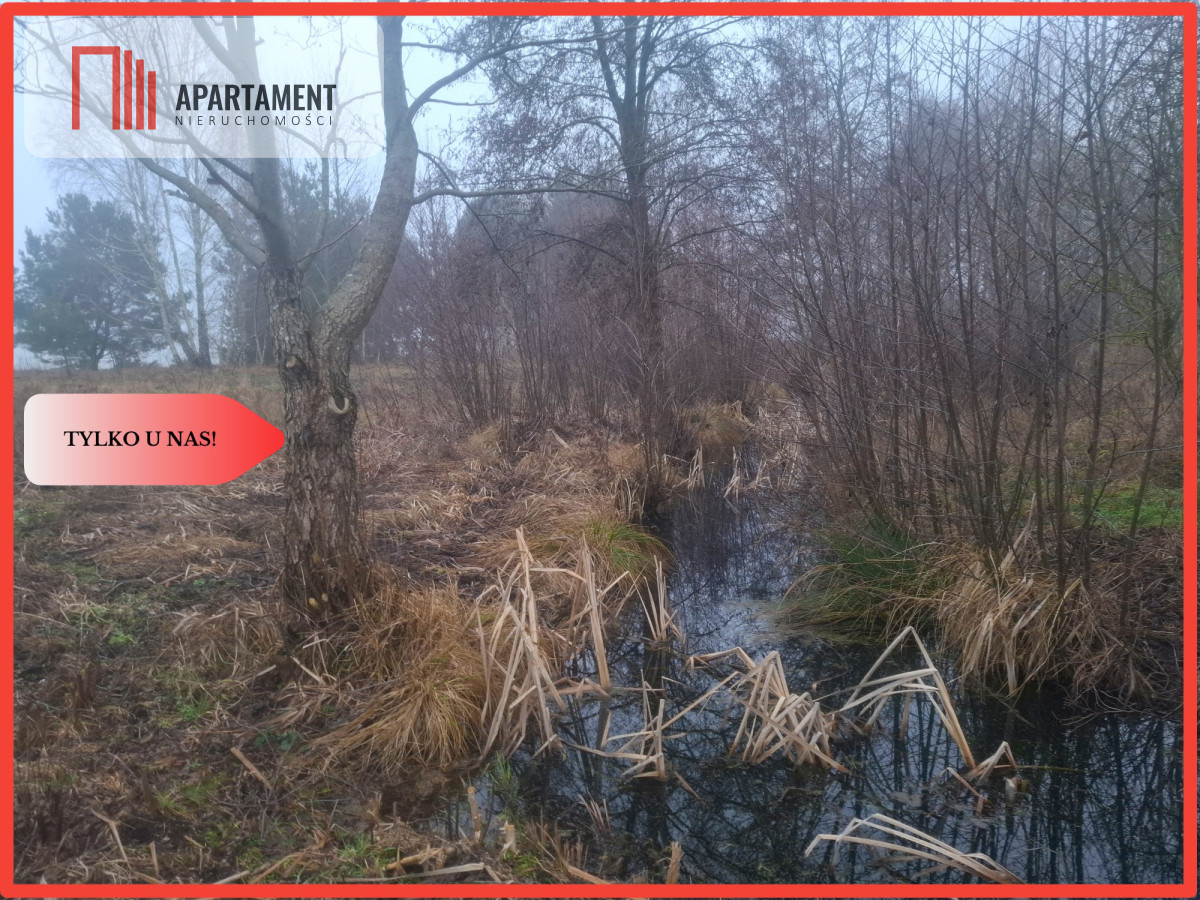 TYLKO U NAS  WSERCU BORÓW TUCHOLSKICH - powiat świecki  -
Kujawsko-Pomorskie Zdjęcie nr 1