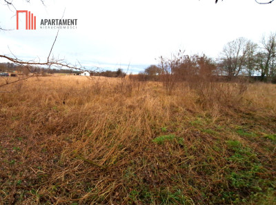 Dobrylewo -Działka 2700m2 budowlana z WZ - powiat żniński  -
Kujawsko-Pomorskie Zdjęcie nr 5