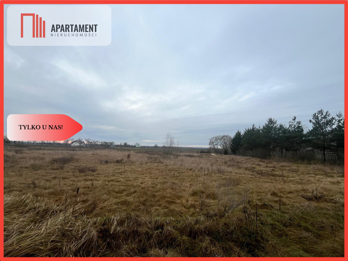  Działka otoczona lasami i polami z WZ - powiat nakielski  -
Kujawsko-Pomorskie Zdjęcie nr 1