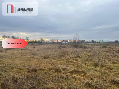  Działka otoczona lasami i polami z WZ - powiat nakielski  -
Kujawsko-Pomorskie Zdjęcie nr 6