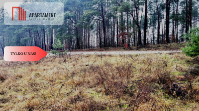 Duża narożna działka z prądem las jezioro - powiat bydgoski  - Kujawsko-Pomorskie