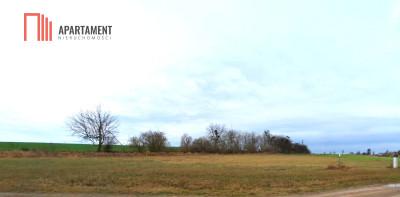 Brzyskorzystew-Działka 1200m2 budowlana z WZ - powiat żniński  -
Kujawsko-Pomorskie Zdjęcie nr 2