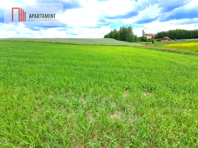 Duże działki do podziału lub inwestycji  - powiat tucholski  -
Kujawsko-Pomorskie Zdjęcie nr 2