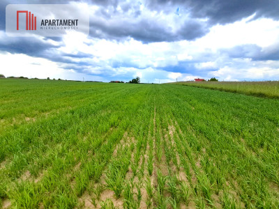 Duże działki do podziału lub inwestycji  - powiat tucholski  -
Kujawsko-Pomorskie Zdjęcie nr 3