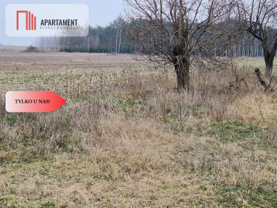 Działka budowlana blisko dużego lasu - Rogowo  -
Kujawsko-Pomorskie Zdjęcie nr 2