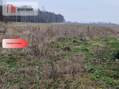 Działka budowlana blisko dużego lasu - Rogowo  -
Kujawsko-Pomorskie Zdjęcie nr 4