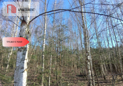 Tylko u nas Działka z rozpoczętą budową Bory - Osłowo  -
Kujawsko-Pomorskie Zdjęcie nr 5