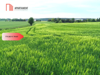 Osówiec Hit cenowy 7234 m2 super lokalizacja - powiat bydgoski  -
Kujawsko-Pomorskie Zdjęcie nr 12