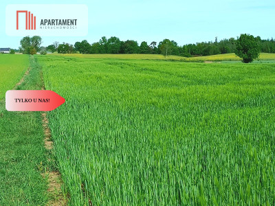 Osówiec Hit cenowy 7234 m2 super lokalizacja - powiat bydgoski  -
Kujawsko-Pomorskie Zdjęcie nr 13