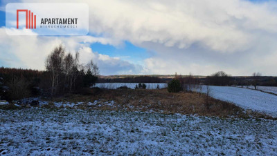 Atrakcyjna działka 3047 m w Kielnie - Kielno  -
Pomorskie Zdjęcie nr 11