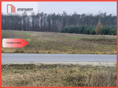 Działka budowlana ze ścianą lasu - Rogowo  - Kujawsko-Pomorskie