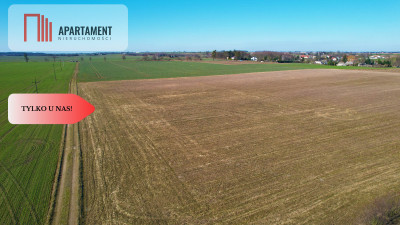 Tylko u Nas Działki budowlane pod Koronowem - Nowy Dwór  -
Kujawsko-Pomorskie Zdjęcie nr 11