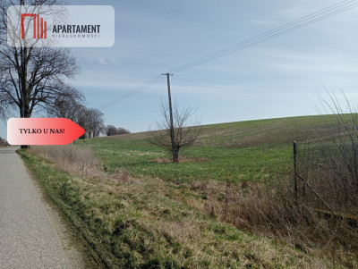 Cicha okolica warunki zabudowy- TYLKO U NAS - Kamień Krajeński  -
Kujawsko-Pomorskie Zdjęcie nr 4