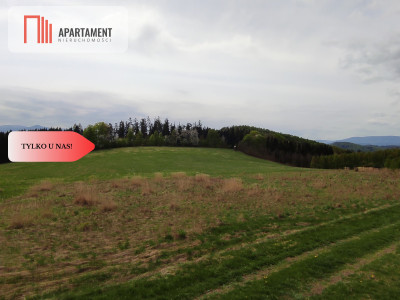 Tylko u nasDziałki w górach z warunkami zabudowy - Rogówek  -
Dolnośląskie Zdjęcie nr 5