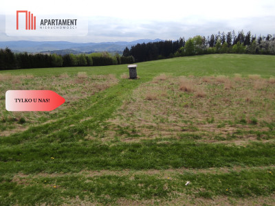 Tylko u nasDziałki w górach z warunkami zabudowy - Rogówek  -
Dolnośląskie Zdjęcie nr 6