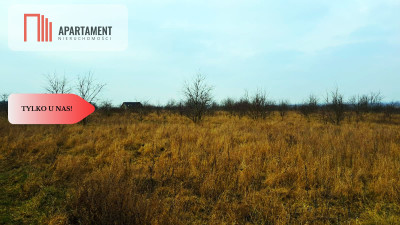 Tylko u nas Działka z warunkami zabudowy - Józefkowo  -
Kujawsko-Pomorskie Zdjęcie nr 3