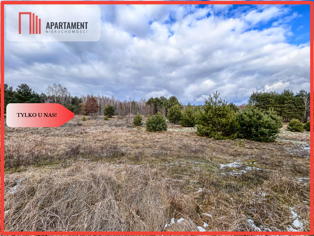 Tylko u nas Działka-Krąplewice-las-3229m2 - Krąplewice  -
Kujawsko-Pomorskie Zdjęcie nr 1