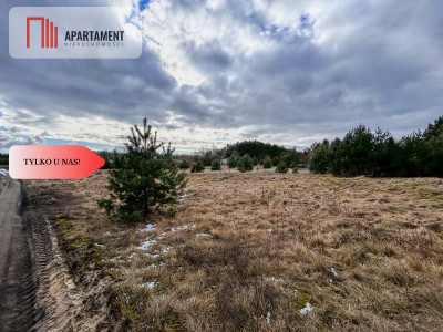 Tylko u nas Działka-Krąplewice-las-3229m2 - Krąplewice  -
Kujawsko-Pomorskie Zdjęcie nr 3
