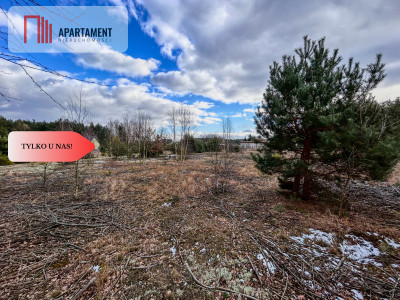 Tylko u nas Działka-Krąplewice-las-3229m2 - Krąplewice  -
Kujawsko-Pomorskie Zdjęcie nr 4