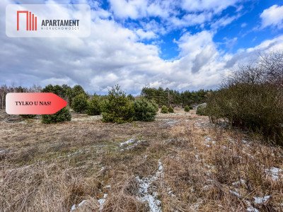 Tylko u nas Działka-Krąplewice-las-3229m2 - Krąplewice  -
Kujawsko-Pomorskie Zdjęcie nr 5