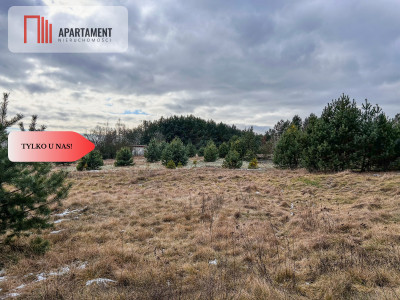 Tylko u nas Działka-Krąplewice-las-3229m2 - Krąplewice  -
Kujawsko-Pomorskie Zdjęcie nr 9