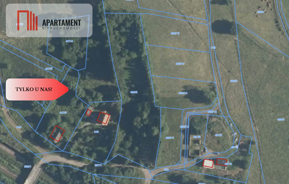 3 działki w sumie 42awarunki zabudowystajnia - Świerki  -
Dolnośląskie Zdjęcie nr 1