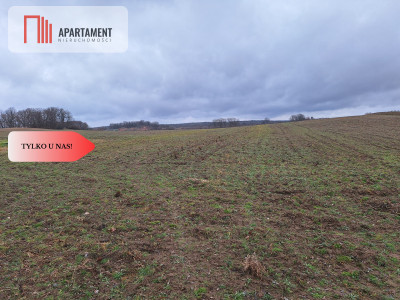 Działka Rolna Rogów Wołowskigm Wińsko - Rogów Wołowski  -
Dolnośląskie Zdjęcie nr 2