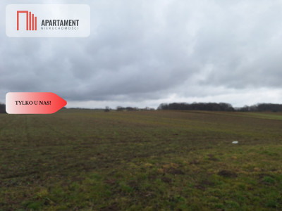 Działka Rolna Rogów Wołowskigm Wińsko - Rogów Wołowski  -
Dolnośląskie Zdjęcie nr 3