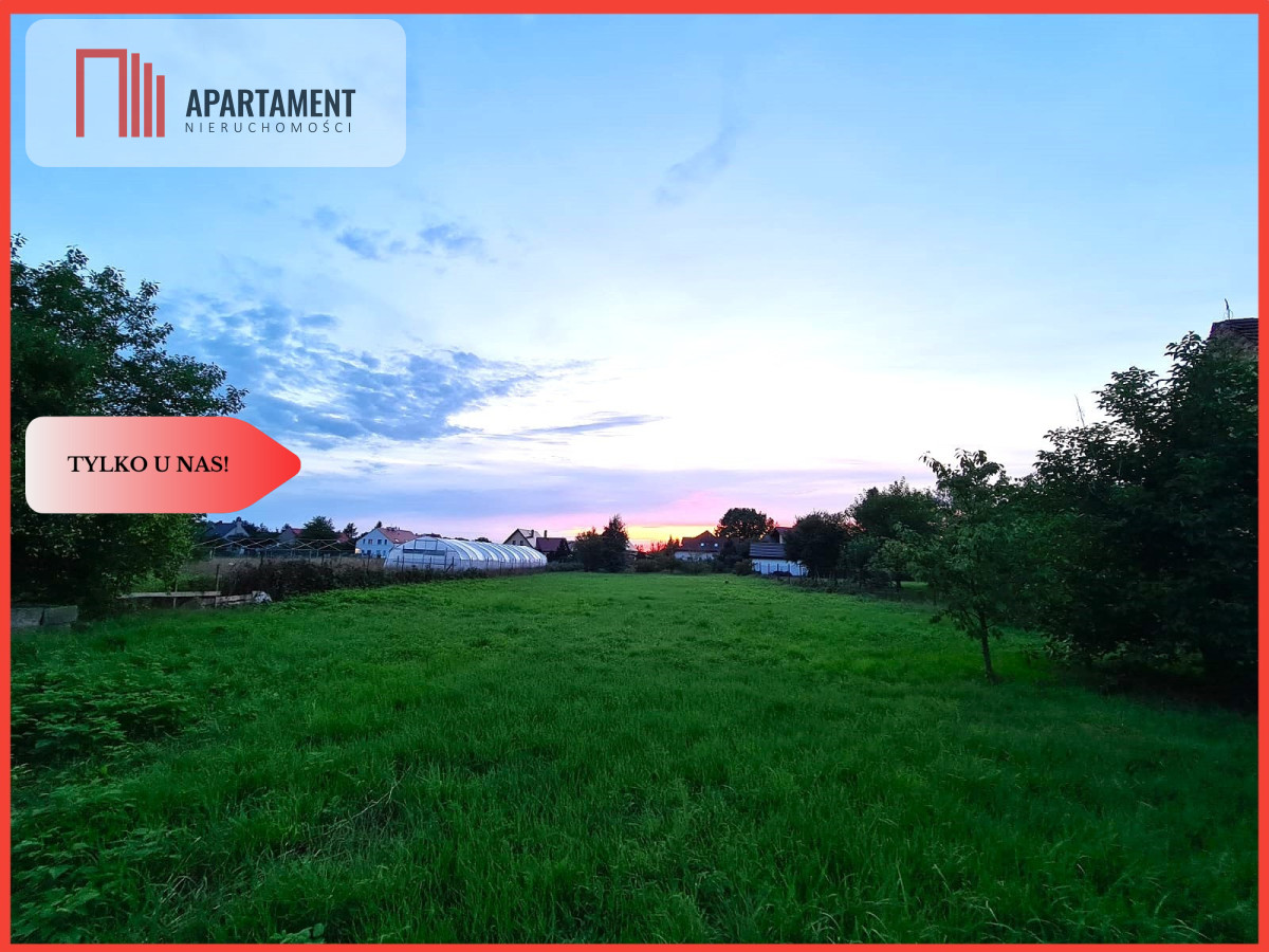 Duża działka w centrum Czernicy - Czernica  -
Dolnośląskie Zdjęcie nr 1