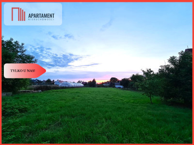 Duża działka w centrum Czernicy - Czernica  - Dolnośląskie