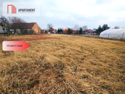 Duża działka w centrum Czernicy - Czernica  -
Dolnośląskie Zdjęcie nr 6