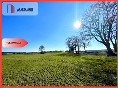 Obniżka cenyDziałki idealne pod przyszłą zabudowę - Czaplinek  -
Zachodniopomorskie Zdjęcie nr 3