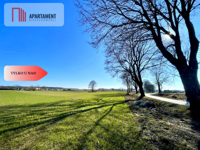 Obniżka cenyDziałki idealne pod przyszłą zabudowę - Czaplinek  -
Zachodniopomorskie Zdjęcie nr 4