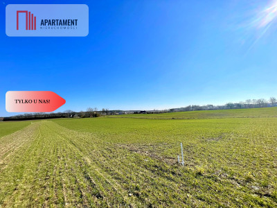 Obniżka cenyDziałki idealne pod przyszłą zabudowę - Czaplinek  -
Zachodniopomorskie Zdjęcie nr 6