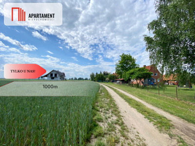 4 działki Budowlane obok siebie Pogorzała Wieś - Pogorzała Wieś  -
Pomorskie Zdjęcie nr 7