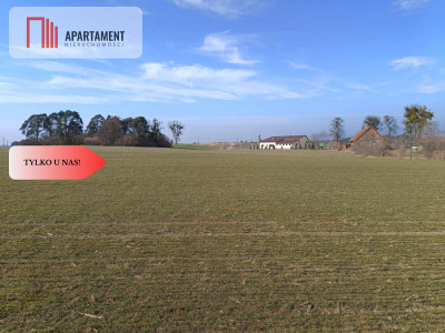 Tylko u  Nas ATRAKCYJNE DZIAŁKIA Budowlane - Osetno  -
Warmińsko-Mazurskie Zdjęcie nr 13