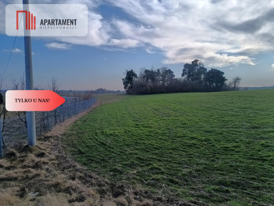 Tylko u  Nas ATRAKCYJNE DZIAŁKIA Budowlane - Osetno  -
Warmińsko-Mazurskie Zdjęcie nr 2