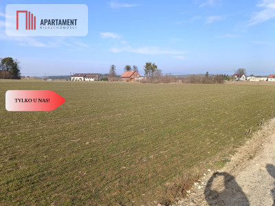 Tylko u  Nas ATRAKCYJNE DZIAŁKIA Budowlane - Osetno  -
Warmińsko-Mazurskie Zdjęcie nr 9