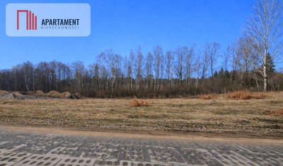 Nad jeziorem przy lesie - Warzenko  -
Pomorskie Zdjęcie nr 2