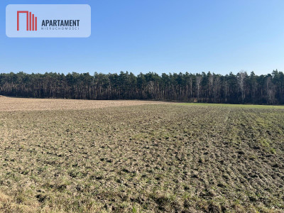 Działka budowlana w Ojrzanowie - Ojrzanowo  -
Kujawsko-Pomorskie Zdjęcie nr 3