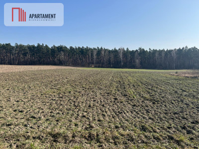 Działka budowlana w Ojrzanowie - Ojrzanowo  -
Kujawsko-Pomorskie Zdjęcie nr 5