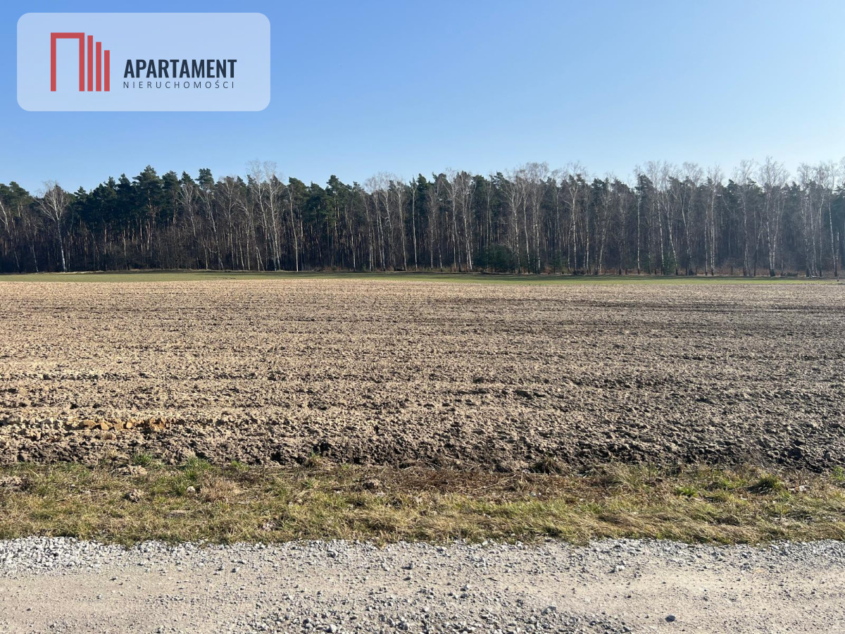 Działka budowlana w Ojrzanowie - Ojrzanowo  -
Kujawsko-Pomorskie Zdjęcie nr 1