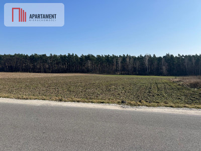 Działka budowlana w Ojrzanowie - Ojrzanowo  -
Kujawsko-Pomorskie Zdjęcie nr 7