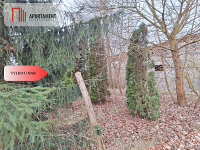 Działka w atrakcyjnej lokalizacji Super inwestycja - Rolewice  -
Lubuskie Zdjęcie nr 13