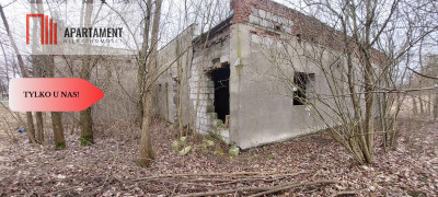 Działka w atrakcyjnej lokalizacji Super inwestycja - Rolewice  -
Lubuskie Zdjęcie nr 9