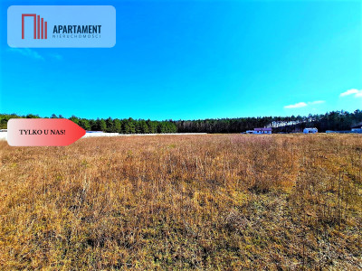 Wałdowo Królewskie 1000 m2 las cisza spokój - Wałdowo Królewskie  -
Kujawsko-Pomorskie Zdjęcie nr 4