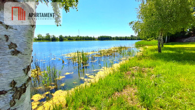 Duża działka blisko jeziora z warunkami zabudowy - Świekatowo  -
Kujawsko-Pomorskie Zdjęcie nr 11